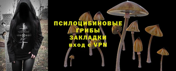эйфоретик Верея