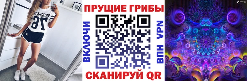 купить   мега вход  Галлюциногенные грибы Psilocybine cubensis  Добрянка 